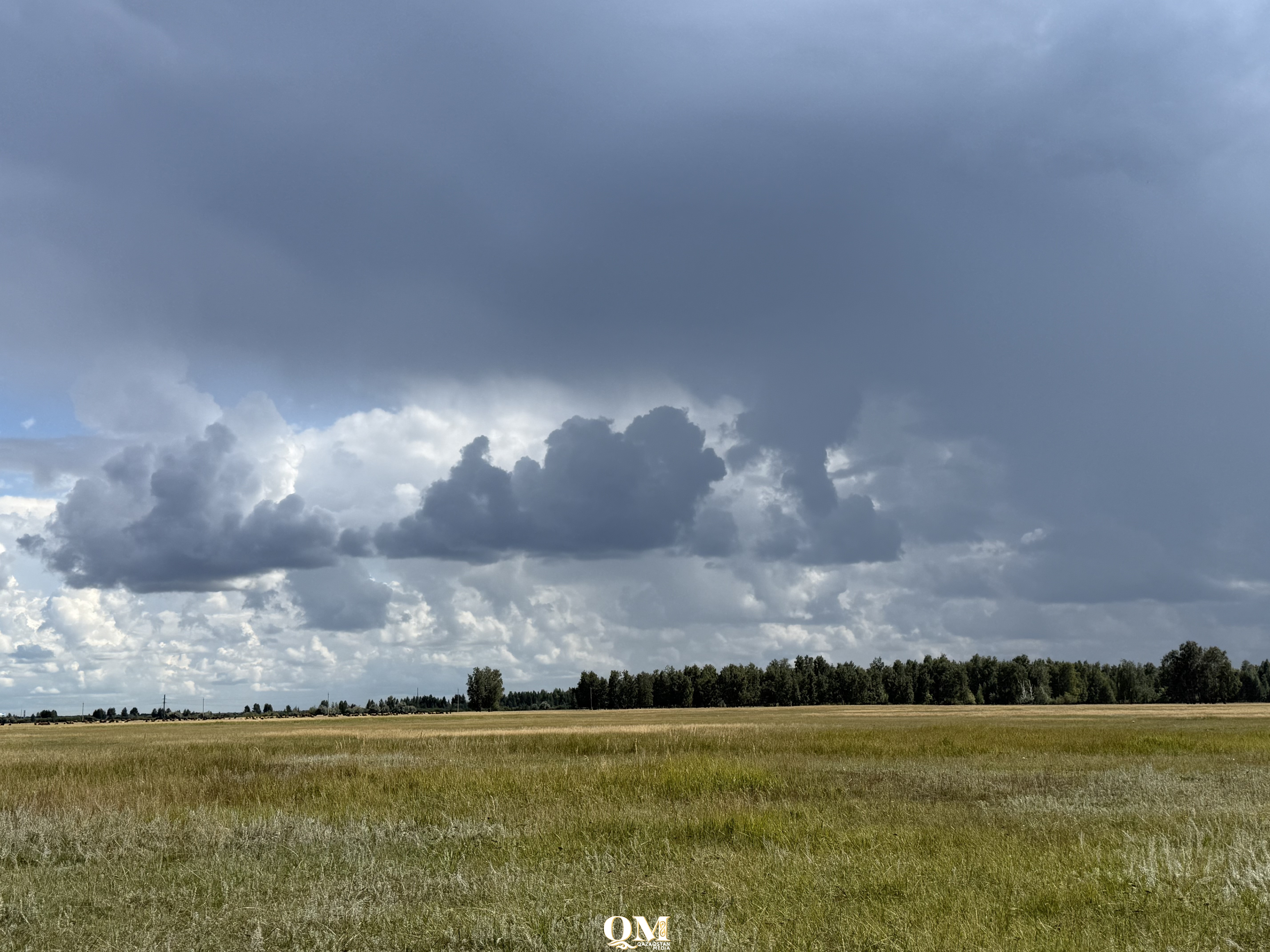 СҚО-да үш жыл ішінде 700 мың гектар жер мемлекетке қайтарылды