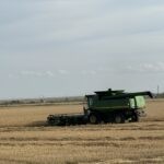 Солтүстікқазақстандық диқандар әр гектардан орташа 15,9 центнерден өнім алуда  
