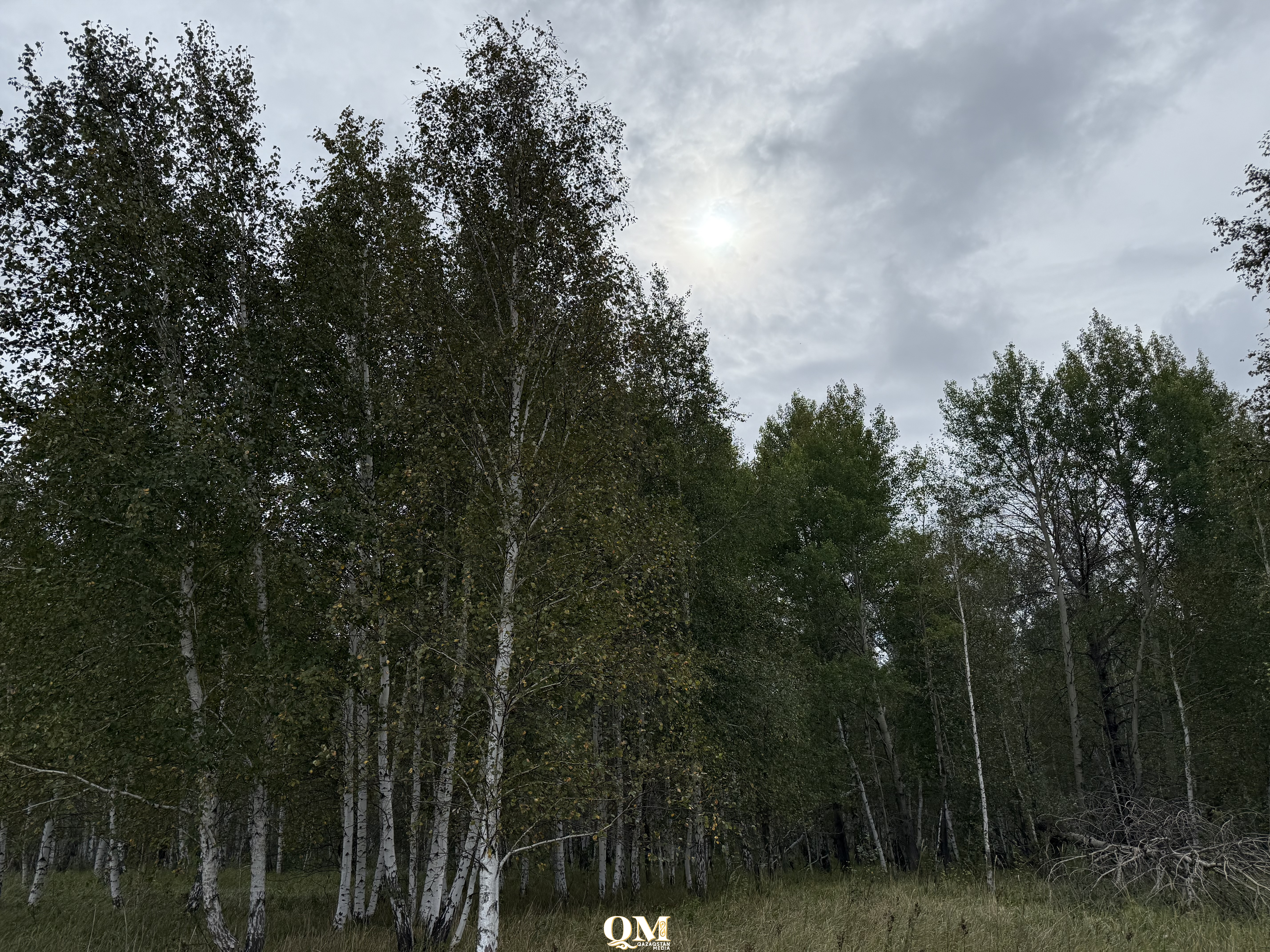 Создать единую цифровую карту земельных ресурсов с интеграцией кадастровых данных поручил президент