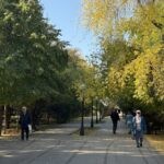 Петропавл әкімдігі тұрғындарды қарттар мен мүгедектерді қолдауға шақырады