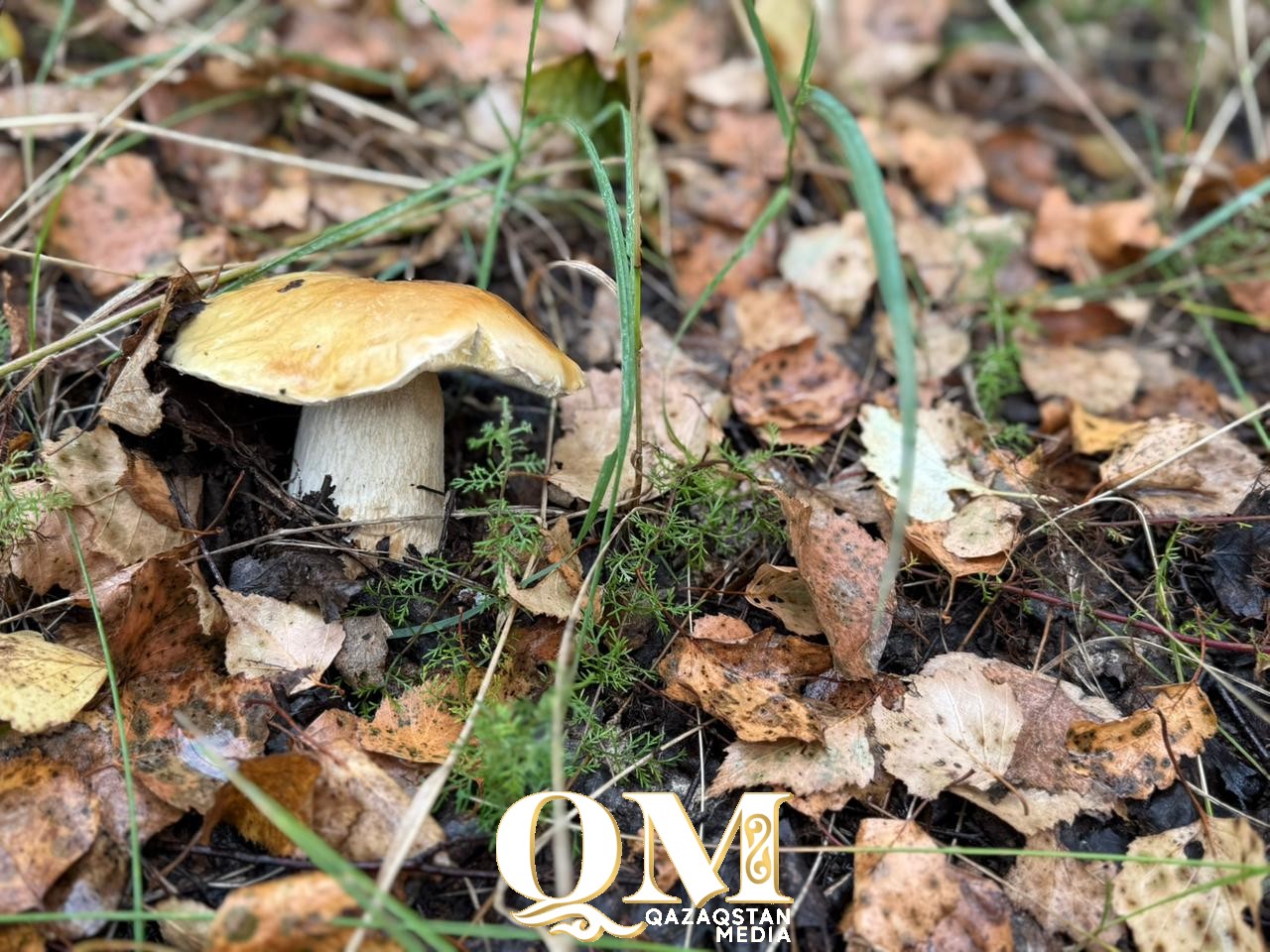 Прощай, лето. Прогноз погоды на сентябрь в СКО