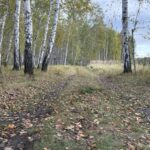 Южный циклон надвигается: на севере страны похолодает до заморозков