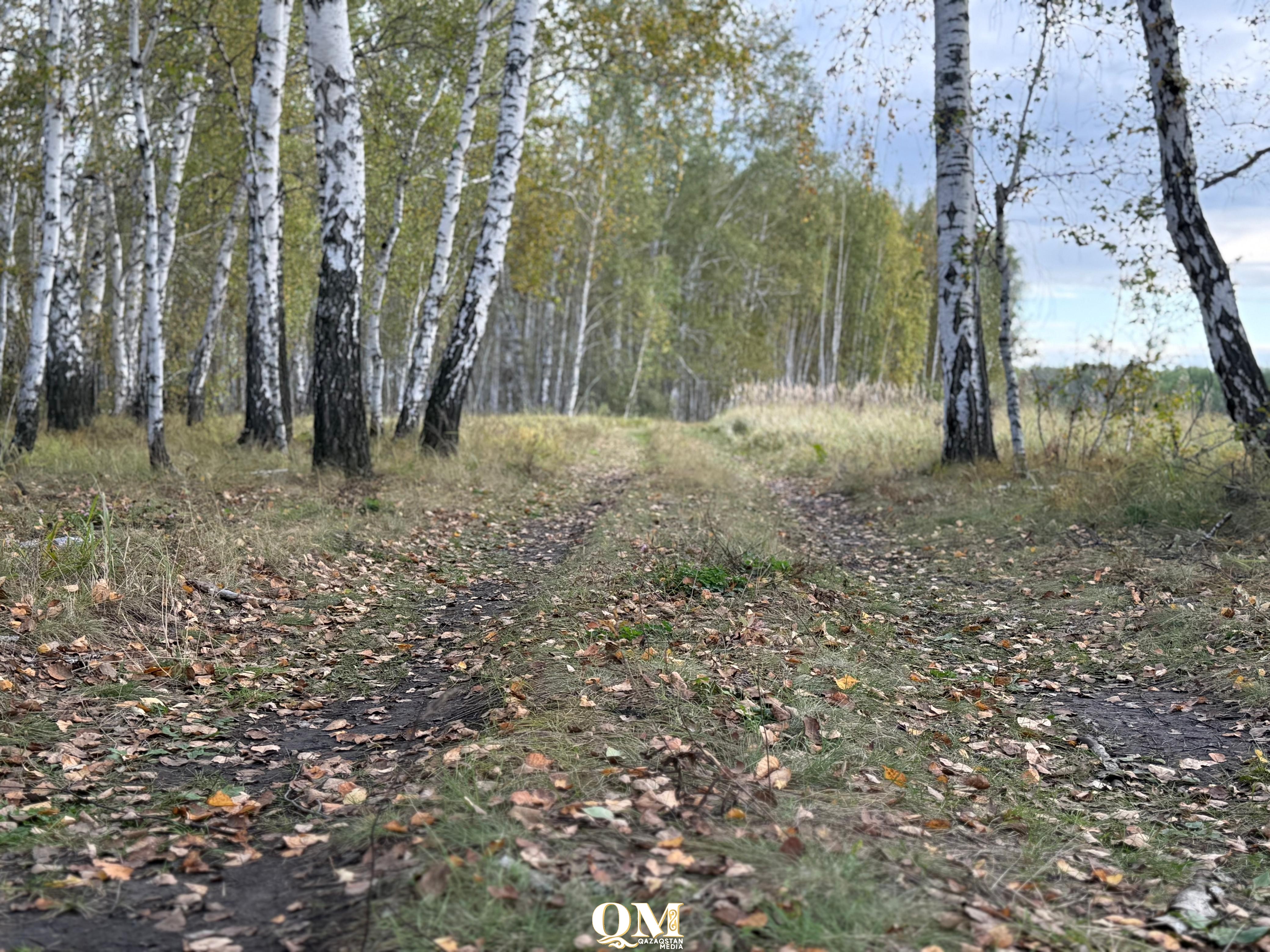 Южный циклон надвигается: на севере страны похолодает до заморозков