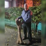 Кость мамонта возрастом 15 тысяч лет нашли в СКО