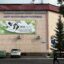 Сотни ИИН незаконно оформили иностранцам в ЦОНах СКО
