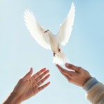 Как работает национальный механизм против пыток в Казахстане