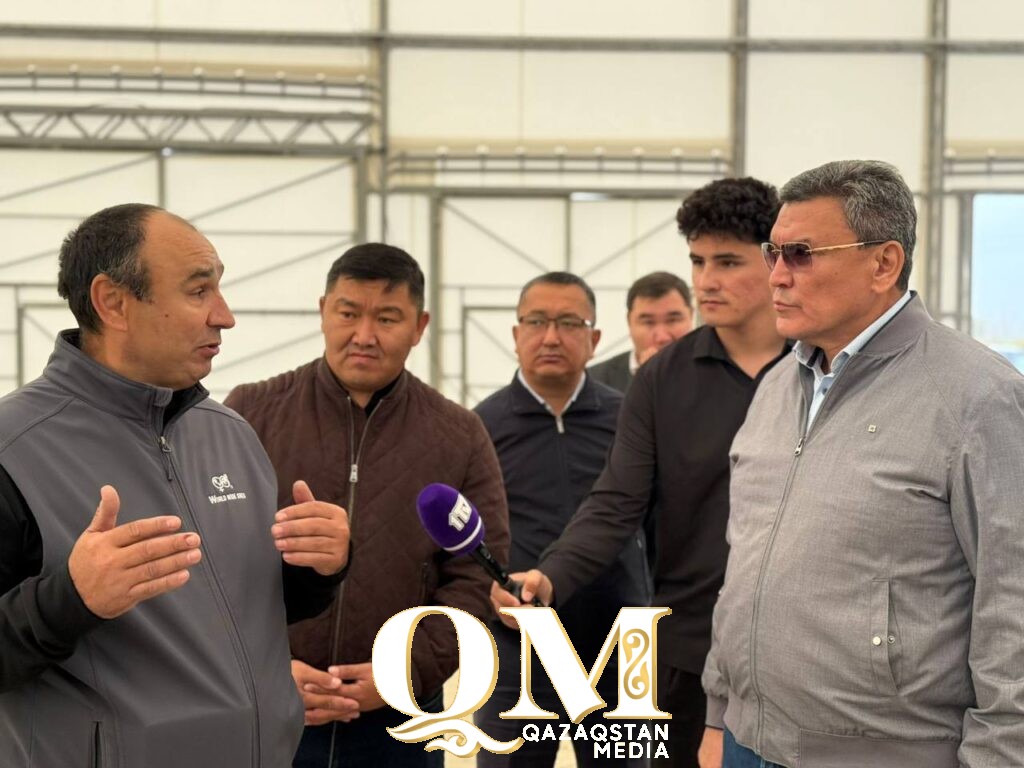 По кругу — к молоку: в СКО запускают новую ферму