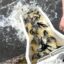 Ловись рыбка - 1 млн сеголеток карпа выпустили в Сергеевское водохранилище