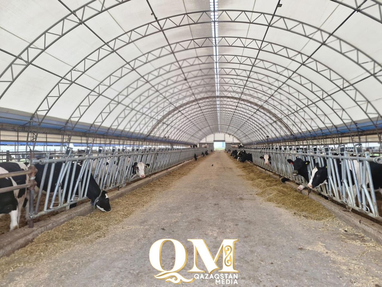 325 тысяч тенге – средняя зарплата на одной из молочных ферм СКО