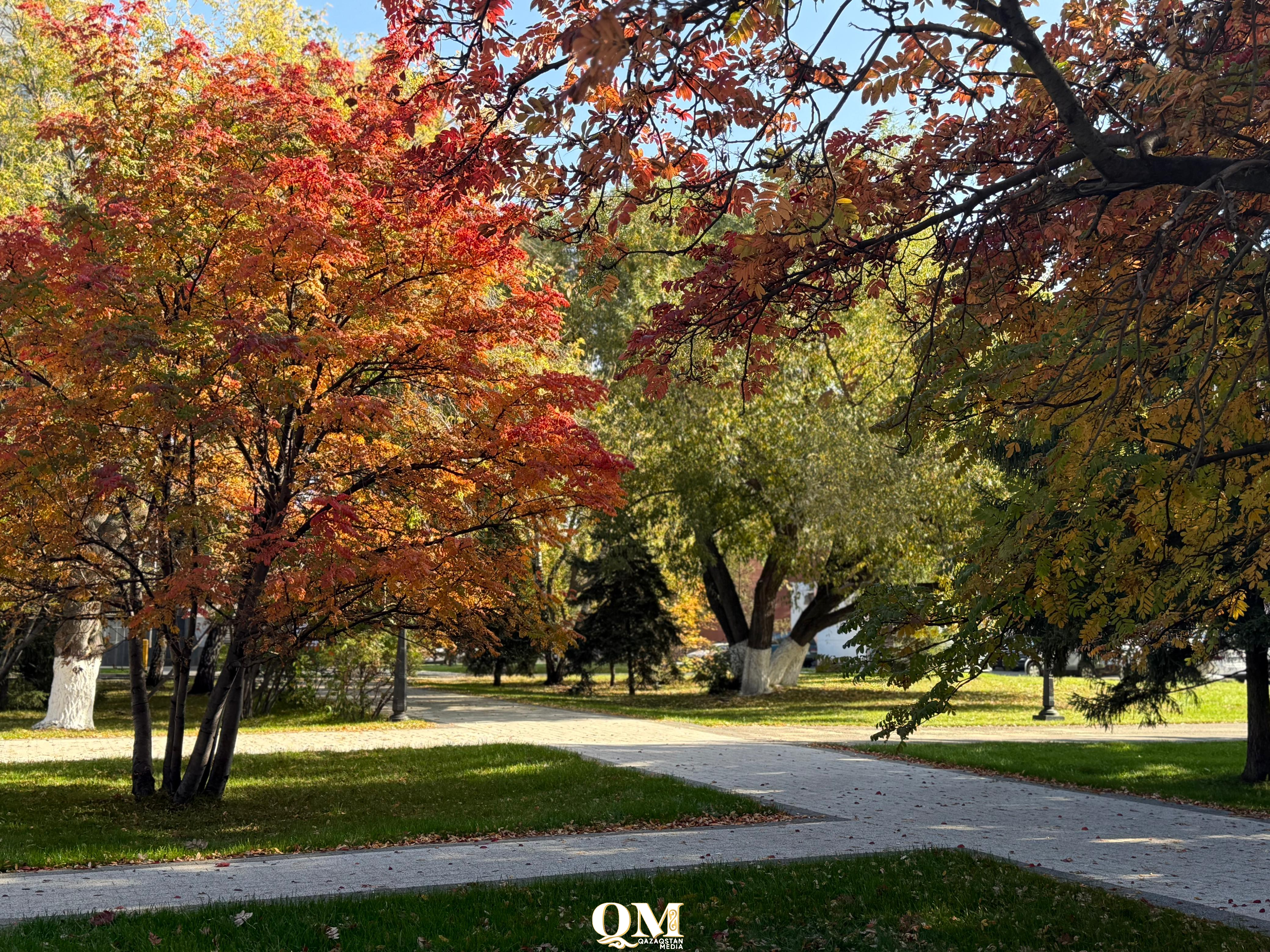 Не стригите волосы и ногти – гадаем, какой будет зима в СКО по погоде