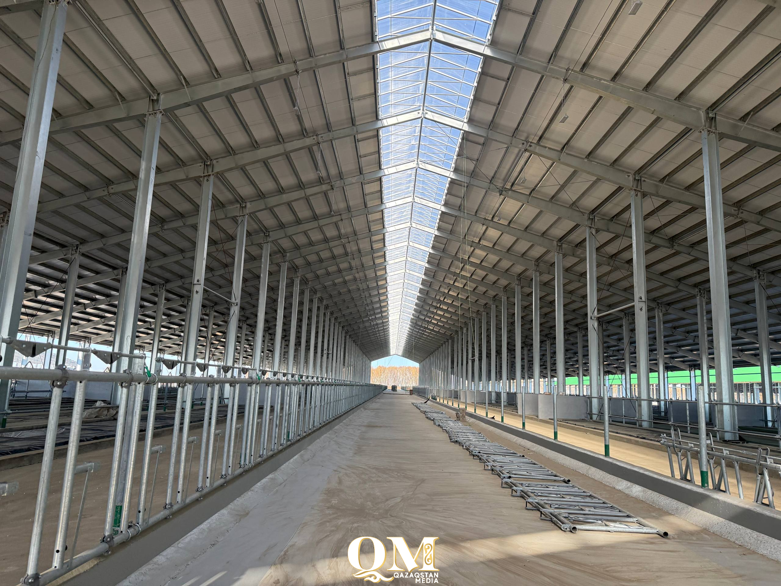 110 МТФ - в СКО создают крупнейший молочный кластер