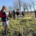 Аллея, где высадили 100 ив, появилась в Петропавловске