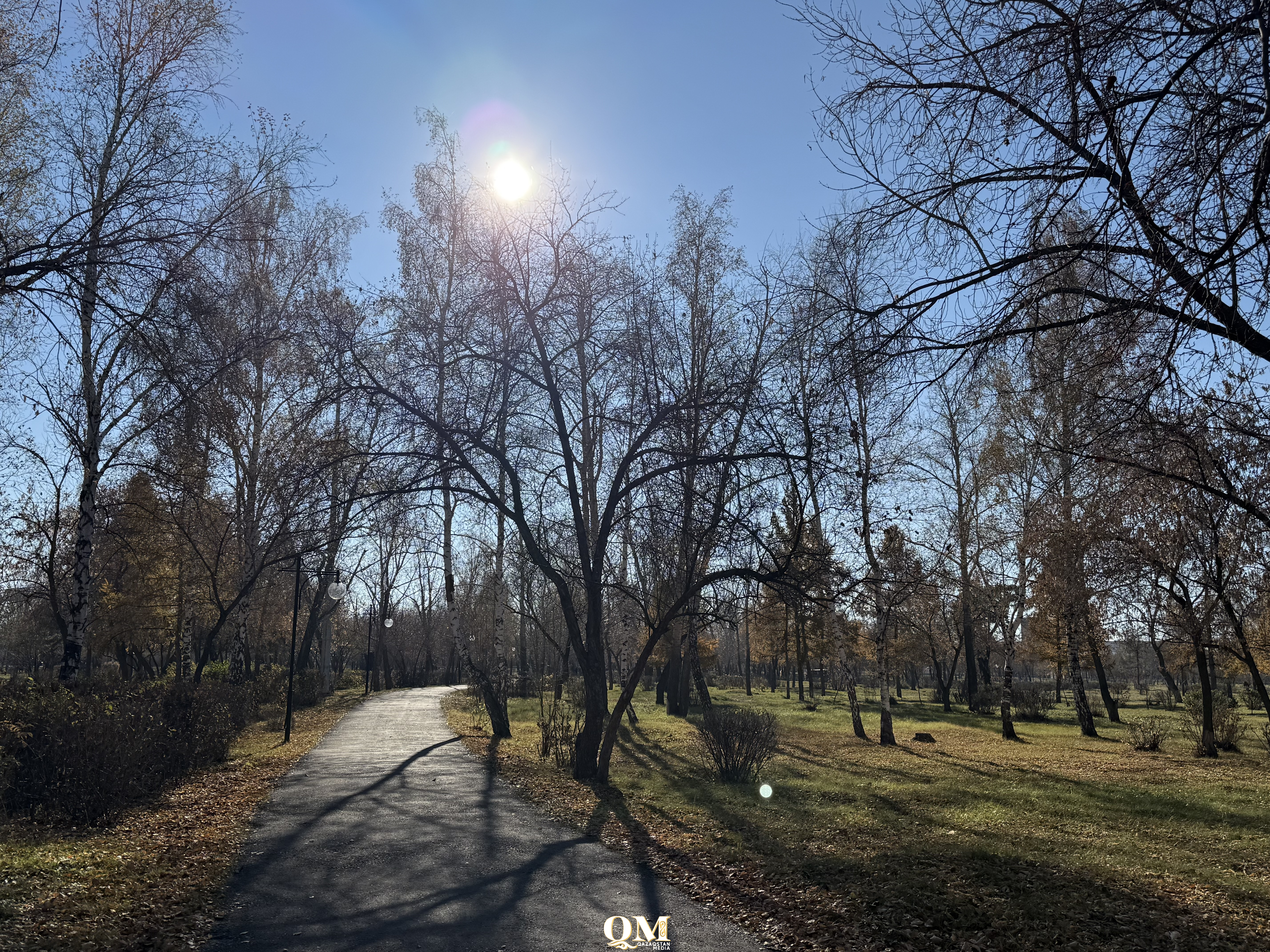Ноябрь в Северо-Казахстанской области будет теплым и ветреным
