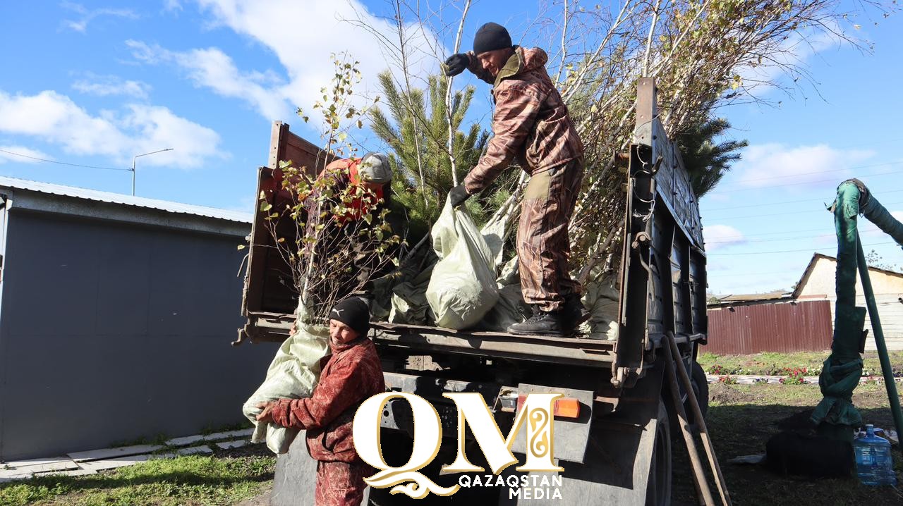 Саженцы ели и березы высадили в Петропавловске жители Есильского района