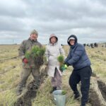 Будет сосновый лес! Акция «Таза Қазақстан» объединила жителей Тайыншинского района