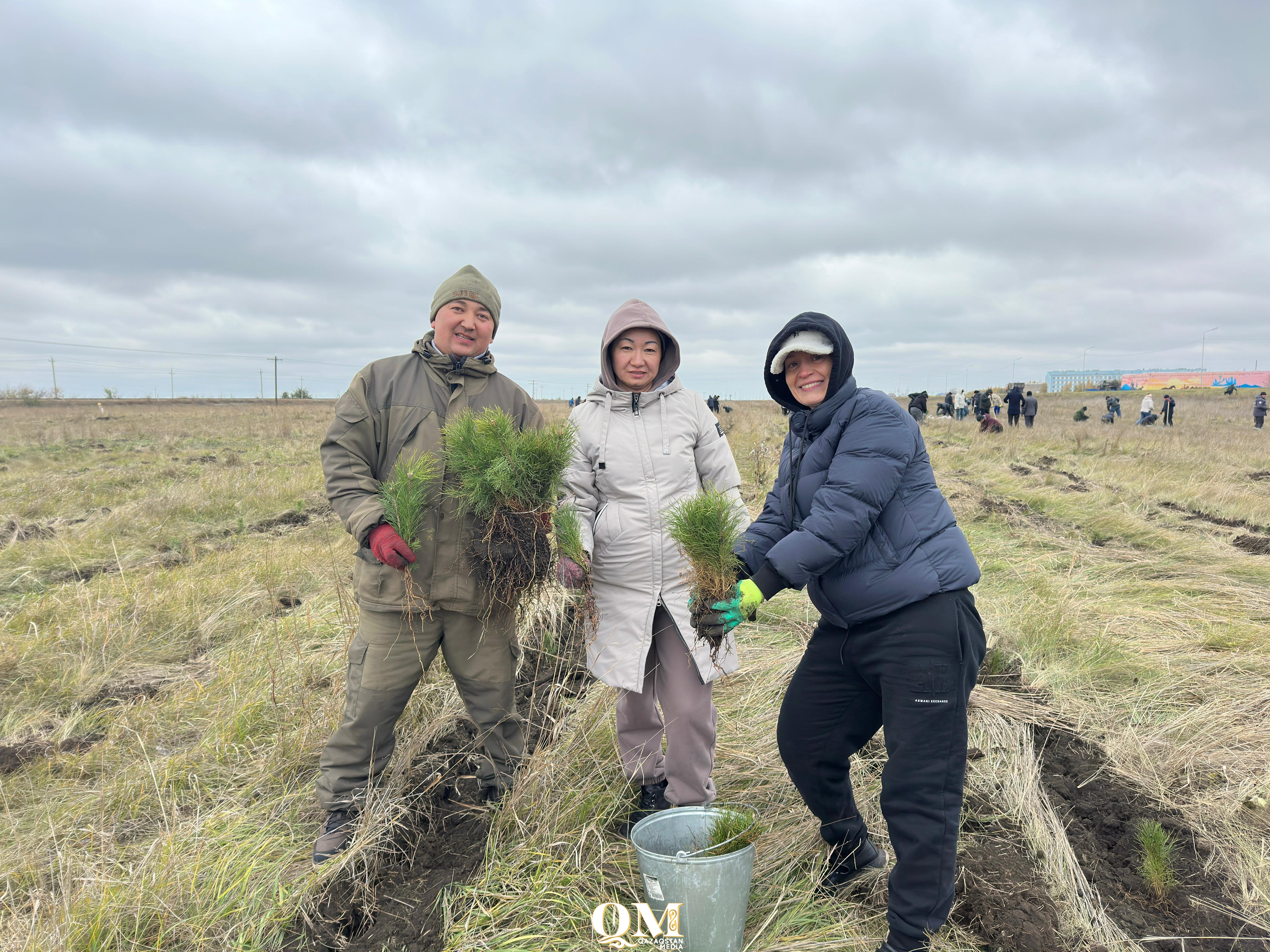 Будет сосновый лес! Акция «Таза Қазақстан» объединила жителей Тайыншинского района