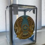 Выбор сделан: партия AMANAT укрепила представительство в районных маслихатах СКО