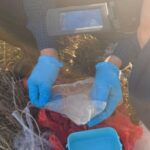 До 12 лет тюрьмы может получить за тайники с наркотиками житель Петропавловска