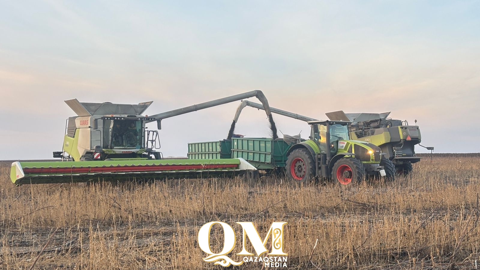 СҚО-да 6 млн 200 мың тонна астық жиналды