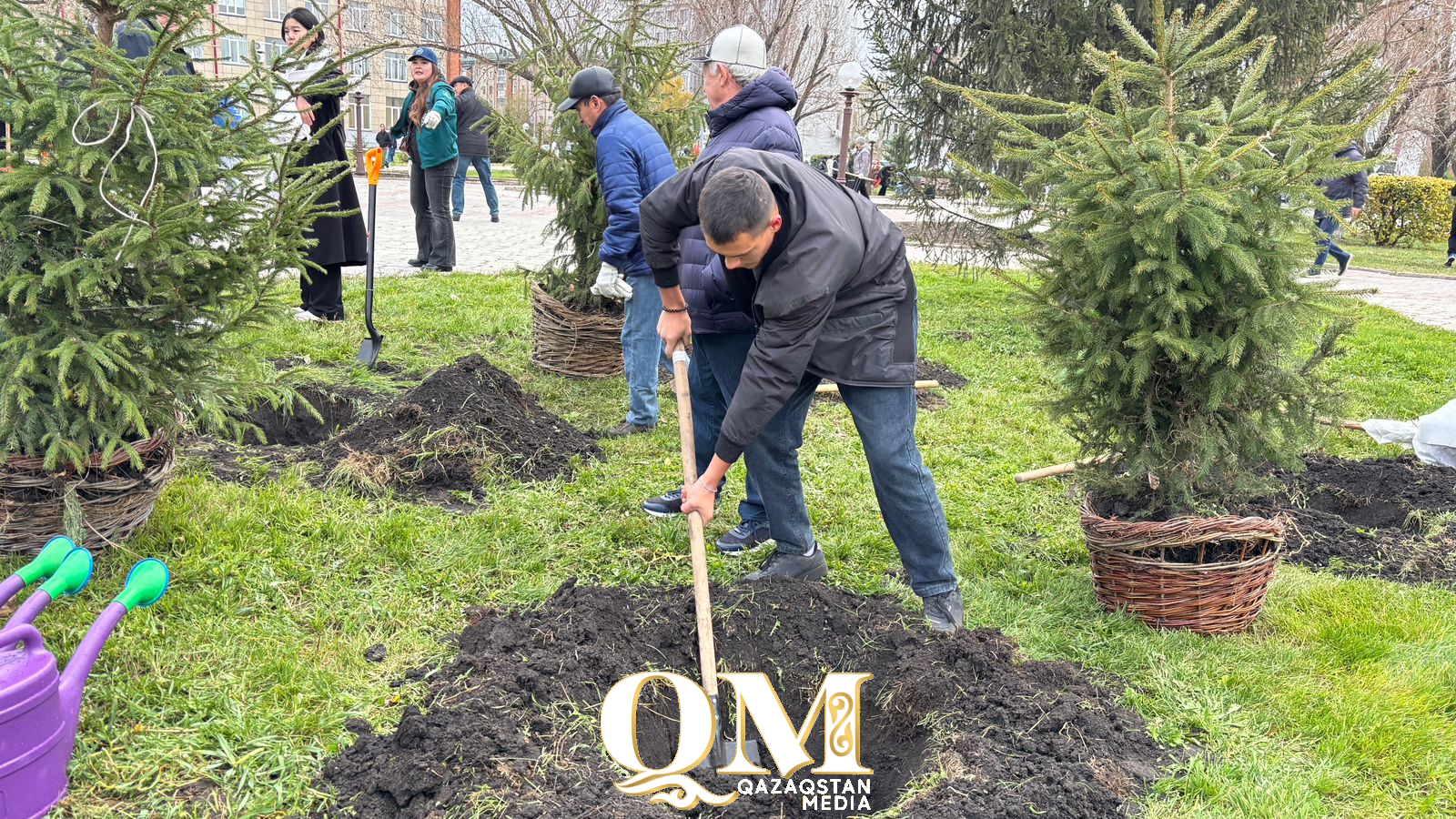 СҚО-да «Таза Қазақстан» акциясы аясында 10 мың көшет отырғызылды