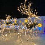 Конкурс на лучшее новогоднее оформление бизнеса и домов объявят в Петропавловске