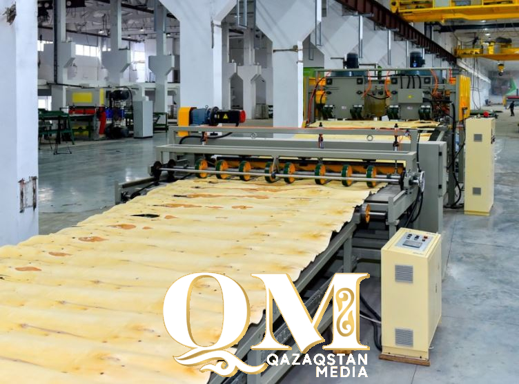 Смерть на рабочем месте: в Петропавловске погиб сотрудник завода