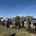 Петропавлда биыл 6 мыңнан астам көшет пен 400-ге жуық гүл егілген