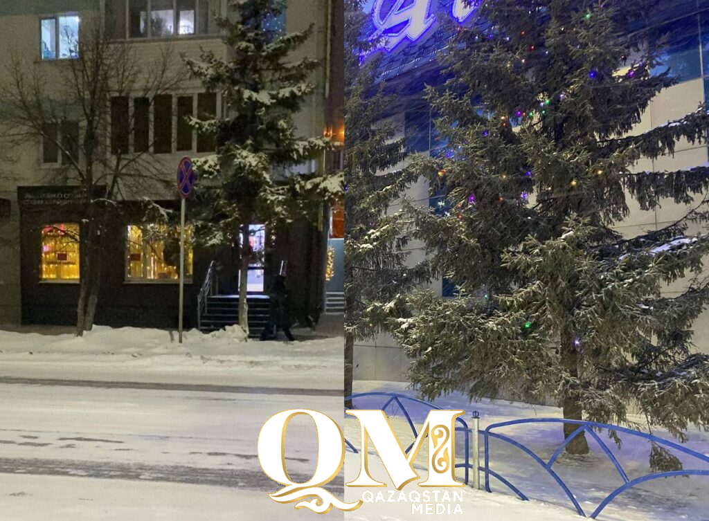 Премиальный фонд 10 млн тенге: новогодний конкурс для предпринимателей пройдет в Петропавловске 