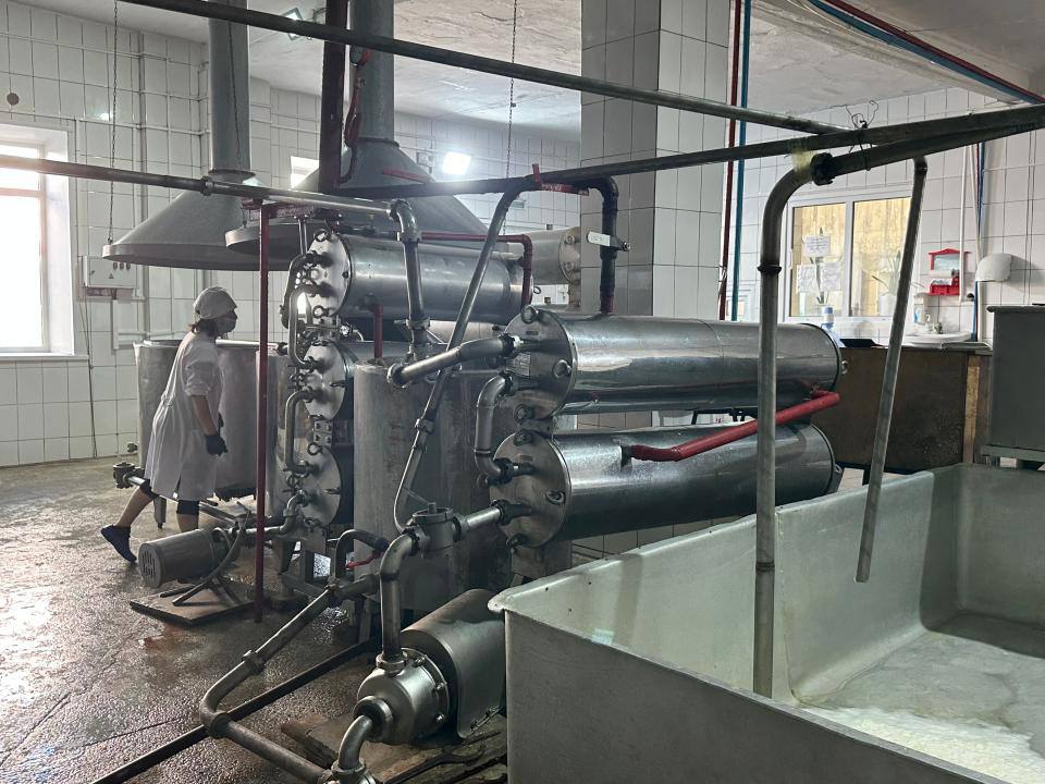 30 тонн молока ежедневно перерабатывают на старейшем молокозаводе в СКО