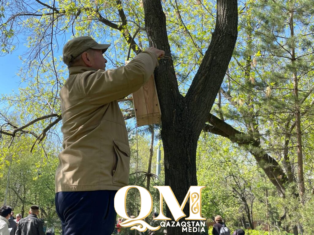 Чище, умнее, зеленее: новые технологии и масштабное озеленение меняют облик Петропавловска