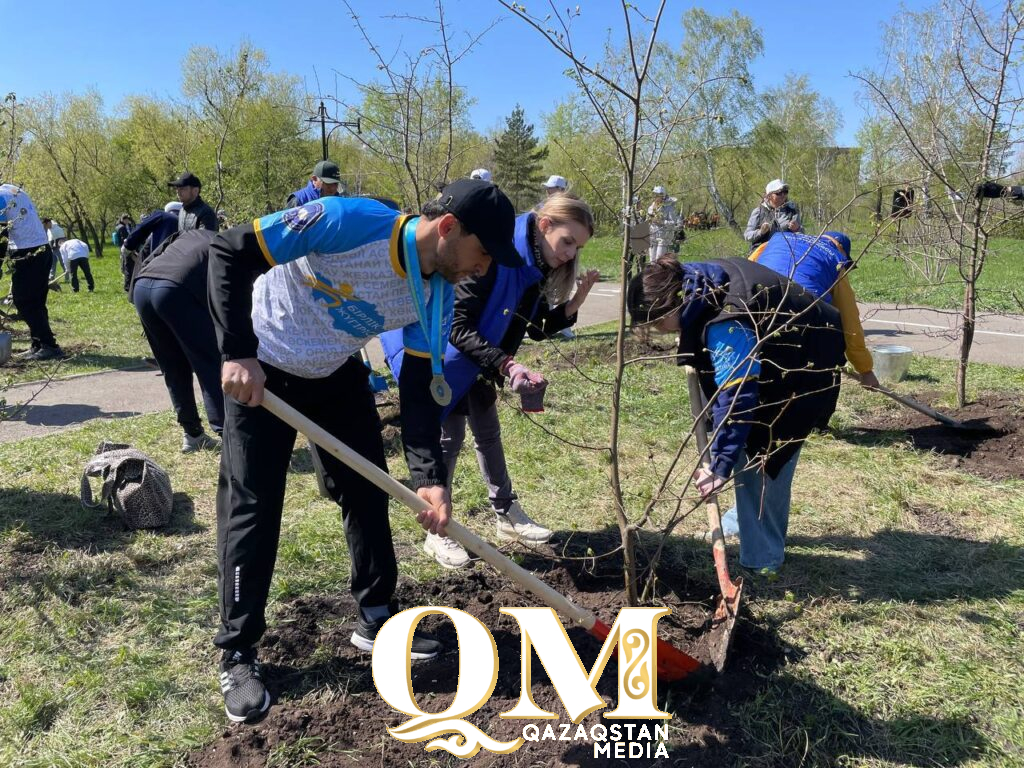 Чище, умнее, зеленее: новые технологии и масштабное озеленение меняют облик Петропавловска