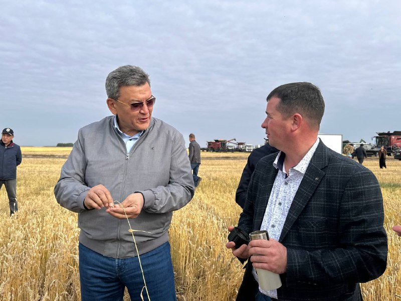 СҚО-да алғаш рет майлы дақылдардың рекордтық өнімі алынды