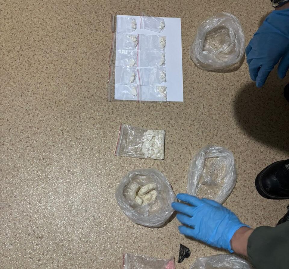 СҚО-да төрт айдың ішінде 730 келі есірткі тәркіленді