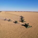 Қазақстандық диқандар рекордтық өнім жинады