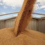 Ақжар ауданында элеваторда жұмысшы көз жұмды