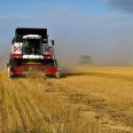 Шал ақын ауданында диқандар 500 мың тоннаға жуық өнім алды