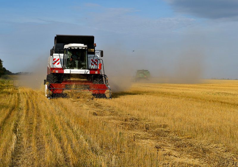 Шал ақын ауданында диқандар 500 мың тоннаға жуық өнім алды