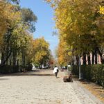 Специалистам Ботанического сада доверят озеленение Петропавловска