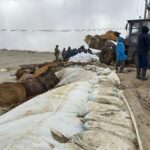 Правительство выделило 1,4 млрд тенге на реконструкцию защитной дамбы в поселке Тепличном СКО