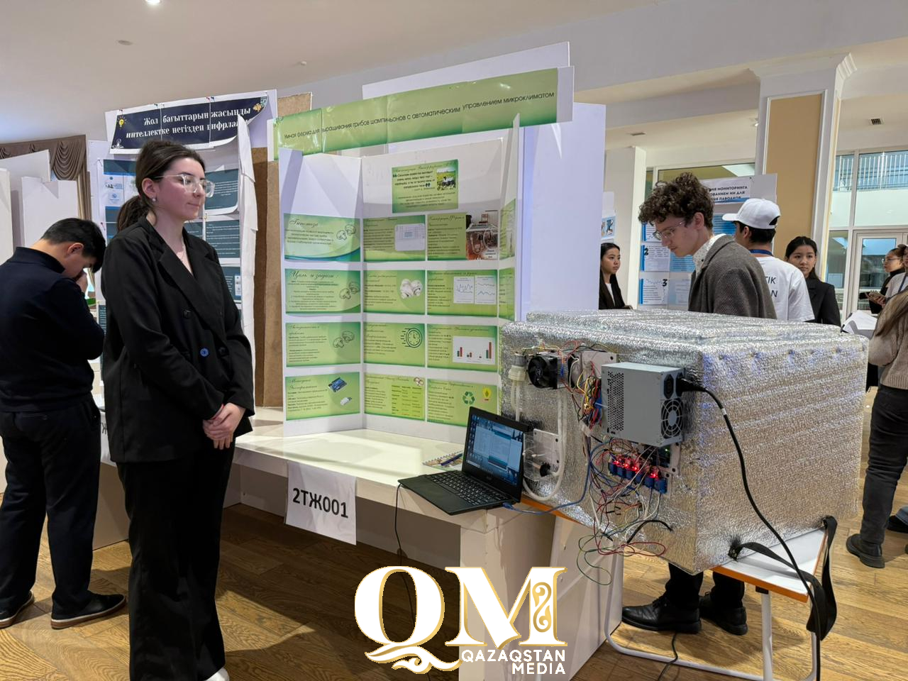 Умные пчелы, грибная ферма, генная инженерия: научные проекты представили школьники СКО