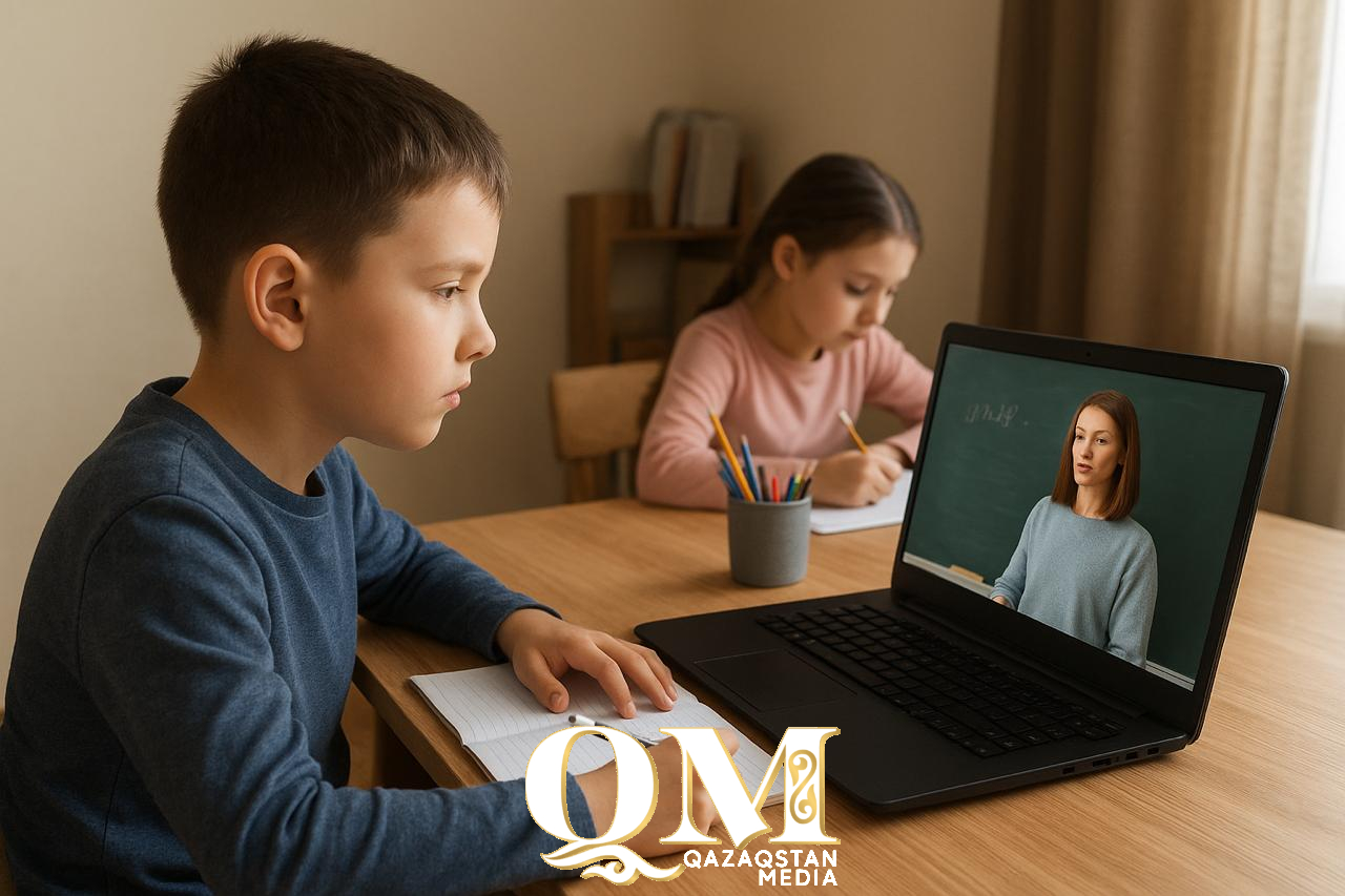 Некоторые классы Петропавловска перевели на дистанционку