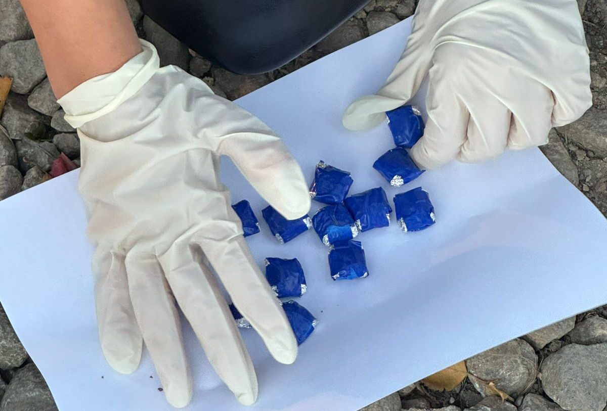 Носила наркотики в дамской сумочке и делала закладки 48-летняя жительница Петропавловска