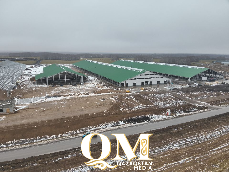 Ферма-рекордсмен КТ «Зенченко и К» подходит к финалу строительства