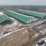 На каком этапе строительство фермы-рекордсмена в КТ «Зенченко и К»
