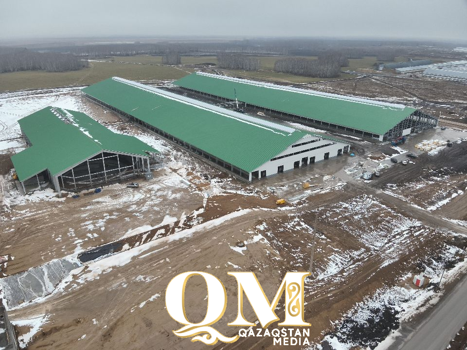 На каком этапе строительство фермы-рекордсмена в КТ «Зенченко и К»