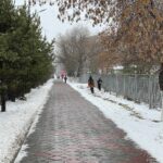 Что принесет очередной циклон на север Казахстана