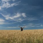 48,4 ц/га – какие хозяйства получили высокую урожайность в Аккайынском районе СКО