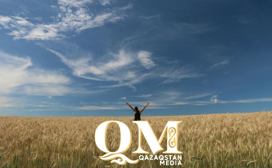 48,4 ц/га – какие хозяйства получили высокую урожайность в Аккайынском районе СКО