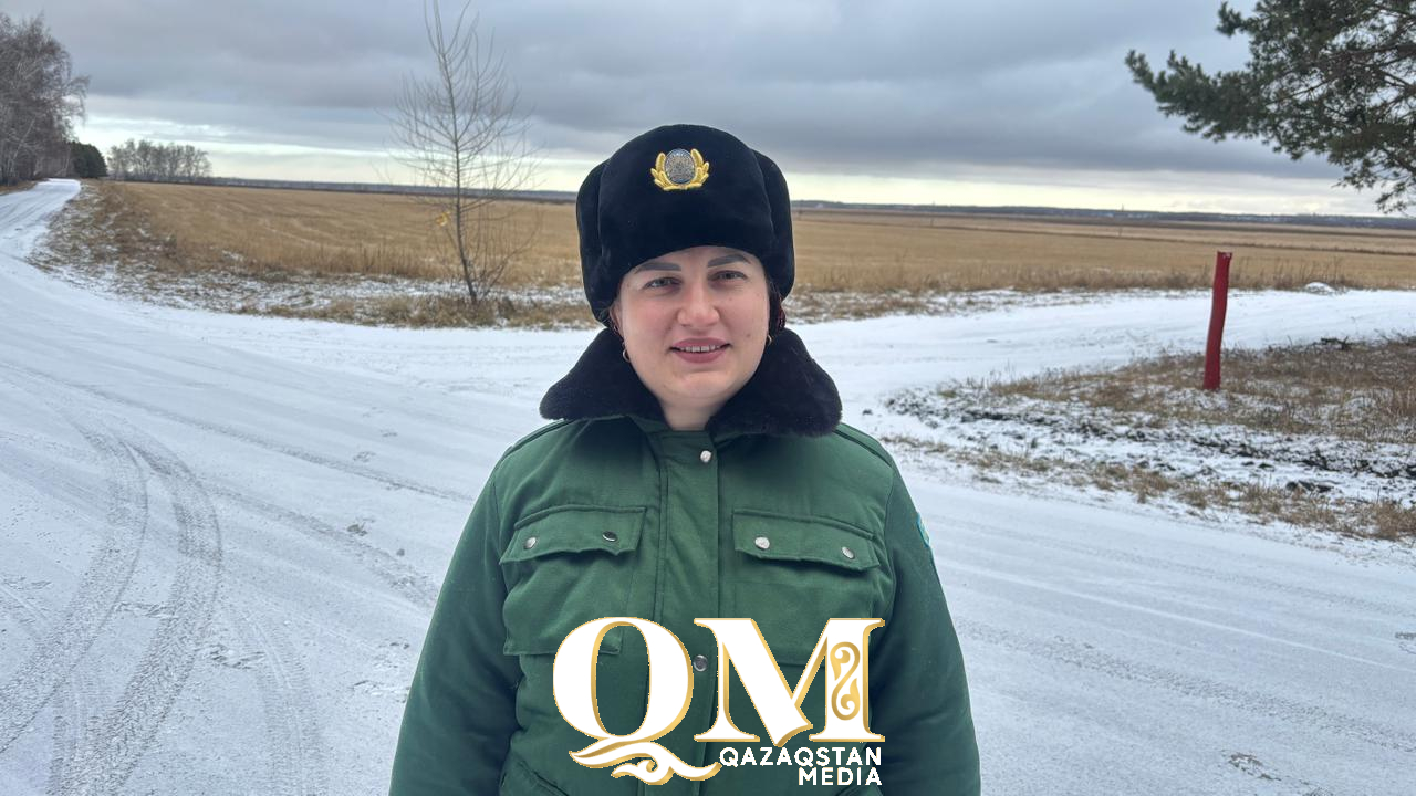 СҚО-да шырша күзеті күшейтілді