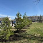 Дворы, экология, «умный город» и общественные пространства: как меняется Петропавловск